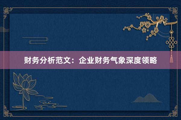 财务分析范文：企业财务气象深度领略