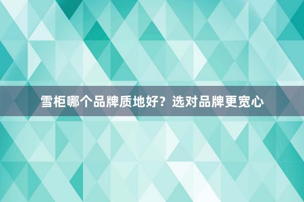 雪柜哪个品牌质地好？选对品牌更宽心