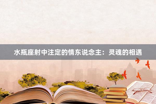 水瓶座射中注定的情东说念主：灵魂的相遇