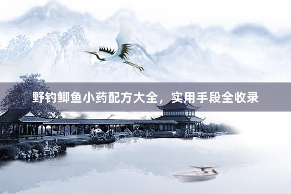 野钓鲫鱼小药配方大全，实用手段全收录
